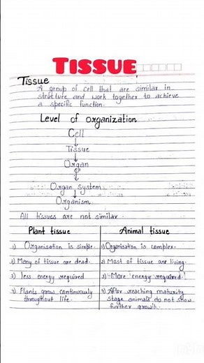 Ch2 tissue class 9 biology handwritten notes | ncert notes #shorts