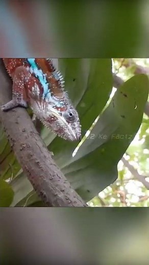 World's First Color Changing Car BMW iX Flow at CES 2022 ~ J2 Ke Factz #shorts