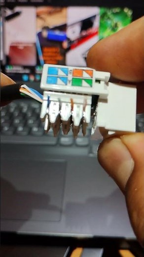 ✅ Así es un CONECTOR DE INTERNET en tu casa u oficina | 2024 #windows11 #red #internet #cat6