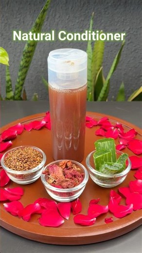 Natural Conditioner For Dry & Fizzy Hair