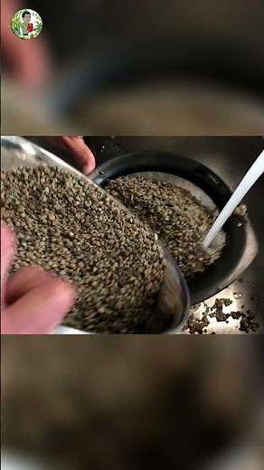 How to Clean Pon the Easy Way: Remove Dust and Keep Plants Healthy