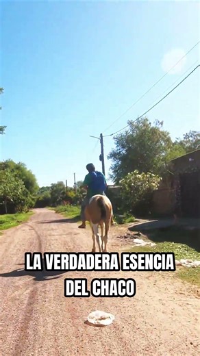 ¿EL LUJO DEL 2026? Mirá este jinete en Fontana 🐎✨