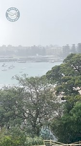 About that stinky brown stuff pouring into Manly Cove yesterday … 🦠 🍂 🧫 | Manly Observer