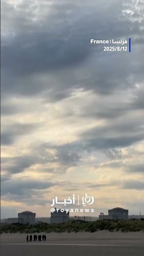 Jellyfish force French nuclear plant shutdown