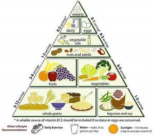 Vegetarian Diet Pyramid - Alchetron, the free social encyclopedia