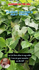 92K views · 3.5K reactions | Mansion On The Hill - Faron Young and Ray Price - Country Classics - TJYCM will take you back to Yesterday's REAL COUNTRY MUSIC #oldschool #countryclassics #fblifestyle | The Jukebox, You, & Country Music | Facebook