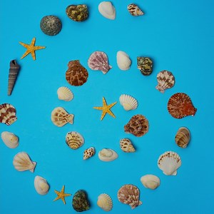 24K views · 52 reactions | GIVEAWAY: It’s National Beach Day! All beaches are pretty great, but tell us which is your very favorite one for a chance to win a totable beach chair. Giveaway Rules:https://www.firsttechfed.com/-/media/FirstTech-Web/Documents/social/August-2021-Giveaways | First Tech Fed | Facebook