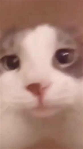 Paintball Collisions: The Unexpected Effects