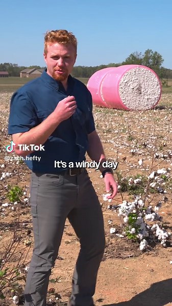 One year since my first cotton field visit… still one of the coolest crops I’ve seen 👀