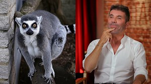 168K views · 1.9K reactions | Got questions? The Judges have answers. | Got Talent Global | Facebook