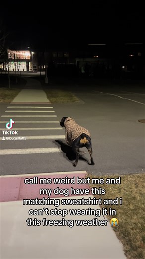 Love This Adorable Rottweiler Hoodie!