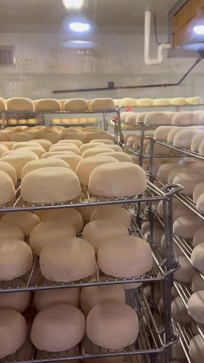 Exploring Point Reyes Station and Northern California Hiking