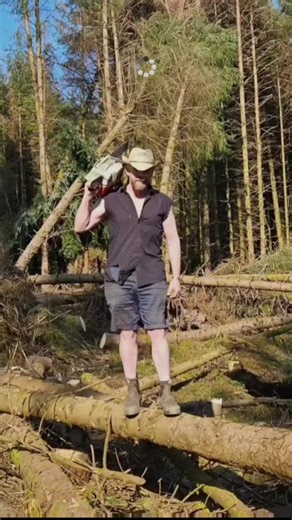 A day in the life at Little Lake Retreat & wildlife reserve #lifestyle