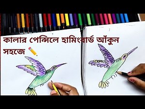 How to Draw a Hummingbird for Beginners | Step-by-Step Colored Pencil Tutorial