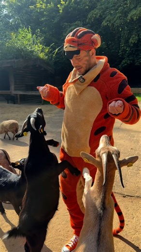 Wie viele Ziegen braucht man, um den achtsamen Tiger aus dem Gleichgewicht zu bringen? 🐐 „Der achtsame Tiger“ – ein lustiges Familienmusical mit zehn ohrwurmtauglichen Songs, wunderbaren Kostümen und Puppen und einer tigerstarken Botschaft, die auf leisen Pfötchen daherkommt. 🐯 📅 10.10.25 - 31.1.26 📍 Schmidts Tivoli #hamburg #kindertheater #wildpark | Schmidt Theater & Schmidts Tivoli