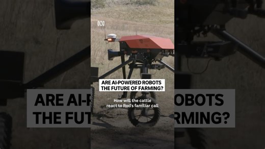 AI isn't likely to wipe out all farming jobs—but it is changing who bears the risks