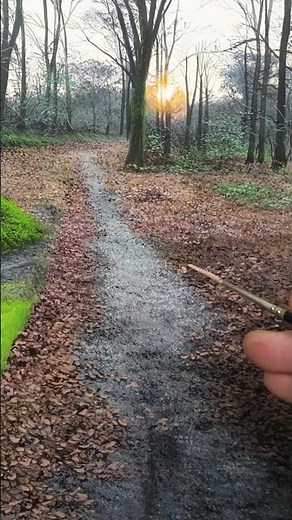 Painting an Ultra-Realistic Forest Path #art #painting #satisfying