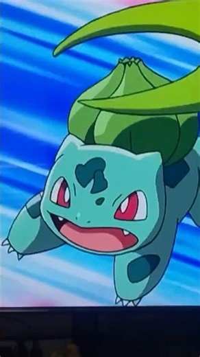 #maypokemon #pokemon #pokemonadvanced