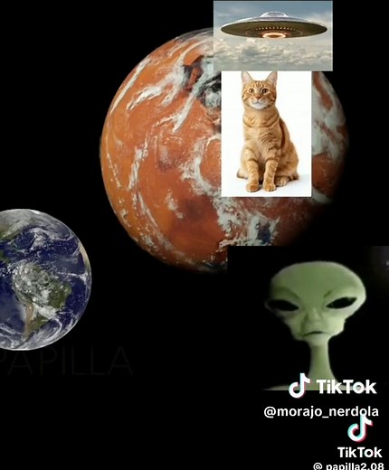 Alien Zip Zip Alien Cat Glup Glup - Funny Cat Video Compilation