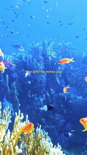 top 50 viral sounds || #viral #sounds #top50 #tiktok #trending #fyp #xyzbca