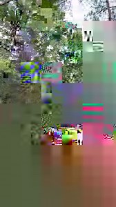 271K views · 1.8K reactions | Just sailing past some treehouses on my way to Disney Springs! I love the boat ride from Port Orleans ❤️ | Pixie Dust Fan | Facebook