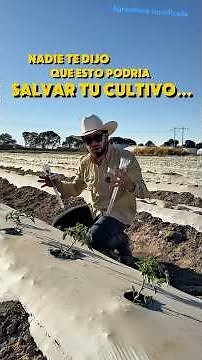 Uso de tensiometros en la agricultura #agronomia #agricultura #plantas #riegoporgoteo