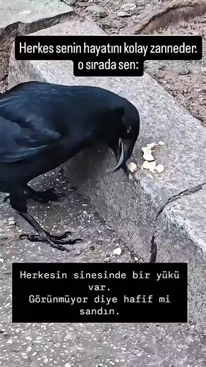 Tips for Movie Lovers: Make Your Movie Nights Special