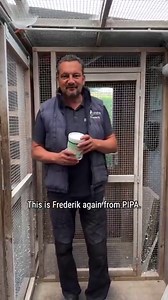 164K views · 8.4K reactions | Start to pigeon #4: Frederik shows how the pigeons can take a bath once a week  | PIPA | Facebook