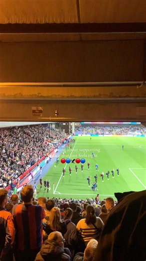 Supporting Crystal Palace: A True Fan's Passion