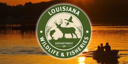 LDWF releases 2024-25 hunting and fishing regulations