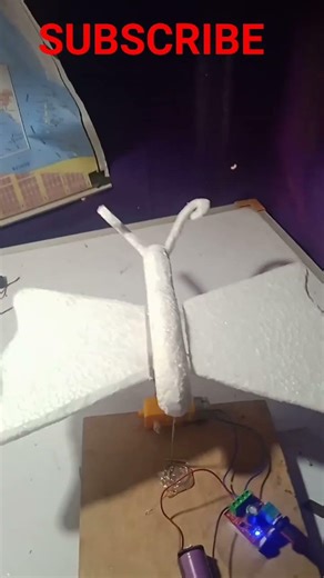 butterfly project model make. #shortsvideo #science #sensor #chemistry #physics #technology