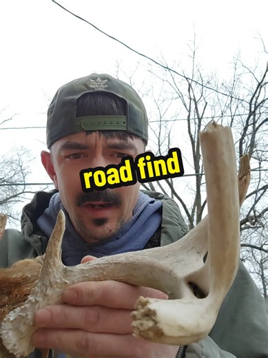 #deadhead | deadhead