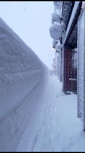 📅 December 2, 2025 Ironwood, Michigan just turned into a full-blown winter maze 😳❄️ More than 40 inches of snow in just a week has transformed this small Upper Peninsula town into a scene straight out of a snowbound movie. Sidewalks? Snow tunnels. Storefronts? Buried. Locals? Somehow still calling this “normal.” 😂 If you’ve ever wondered what REAL winter looks like… here it is. Would you walk through this? Or book a flight far south immediately? 🌴🤣 📷 Inspired by image from Robs 906 Pics ⚠️