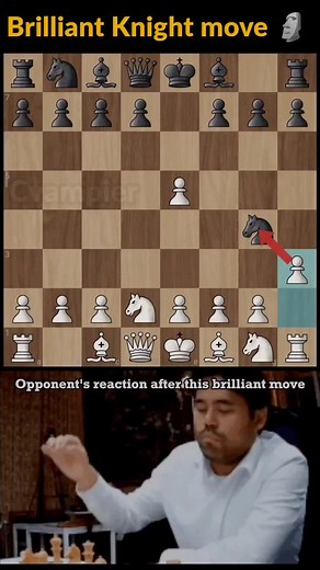 !! #brilliantmove #gg #🐐👑 #fypシ #chess #chesscom #chesstok #kesfet #chessman #bro #carlsen