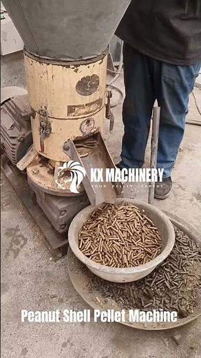 Biomass Peanut Shell Pellet Machine Groundnut Shell Pellet Mill #pelletmachine #pelletmill