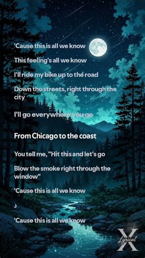 The Chainsmokers ft. Phoebe Ryan — All We Know | Lyrics 🖤