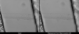 Motion Microscopy for Visualizing and Quantifying Small Motions