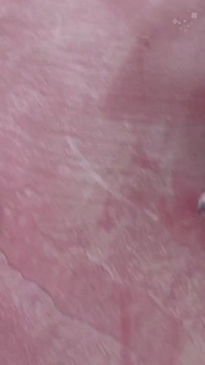 petsfamily24 on TikTok