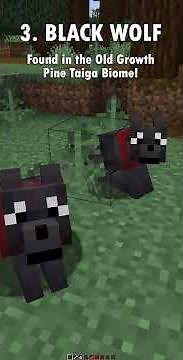 Minecraft Wolf Variants #minecraft