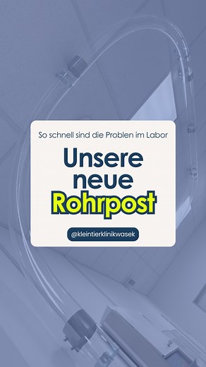 Wenn’s mal wieder schnell gehen muss... unsere neue Rohrpost düst jetzt durchs Haus wie Speedy Gonzales 🐭💨 Ab sofort ist sie im Einsatz – und sorgt dafür, dass Proben, Befunde und Medikamente blitzschnell zwischen Labor und Behandlungsräumen hin und her sausen. Das spart wertvolle Zeit, Wege und ermöglicht eine noch schnellere Versorgung eurer Tiere. 🐶🐱💉 Effizienter für uns – sicherer & stressfreier für eure Lieblinge. #rohrpost #tierklinik #kleintierklinik #tierliebe #labor #tiermedizin #h