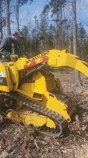 New stump grinder trial run.