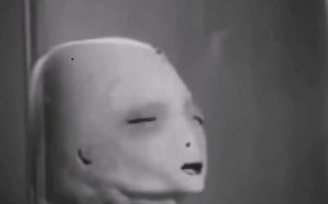 小灰人-人类杂交后代