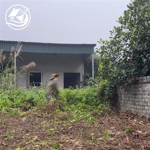 Clean Up Eye-catching Transformation The overgrown garden of an abandoned house #cleanuptv #reelsfbシ #amazingvideo #Awesome #technique | Clean Up TV