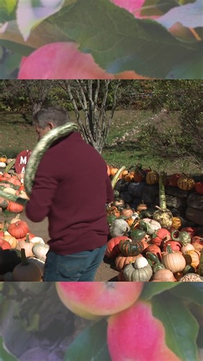 This week we host from Mack's Apples in Londonderry, NH. Check out what you won't see in the show! | NH Chronicle