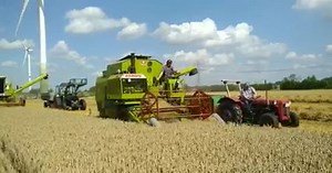 Claas Cosmos und Claas Dominator76 im Ernteeinsatz 2022! | Dr. Trecker