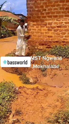 #quantumsound #mashashara