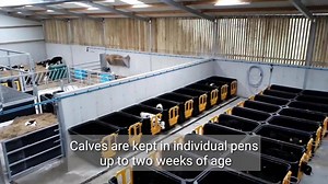 A new calf shed was recently completed in Co Galway with an automatic milk feeder and 42 individual calf pens. Click here for the full article 👉https://www.farmersjournal.ie/watch-unorthodox-calf-shed-design-for-galway-farm-446254 | Irish Farmers Journal