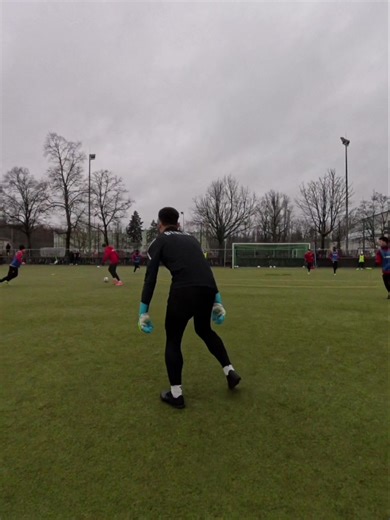 Ultimate Guide to Goalkeeping Techniques and Saves