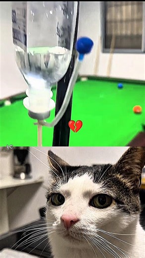 Bro, keep playing pool in those conditions😲#shorts