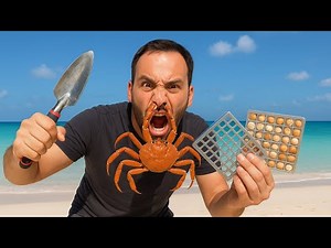 I Found The Perfect Shell on FLORIDA Beaches